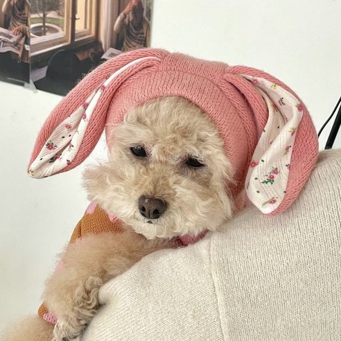 BITERE 반려 동물 액세서리 니트 토끼 귀 모자 귀여운 고양이 강아지 코디, 1개, 핑크