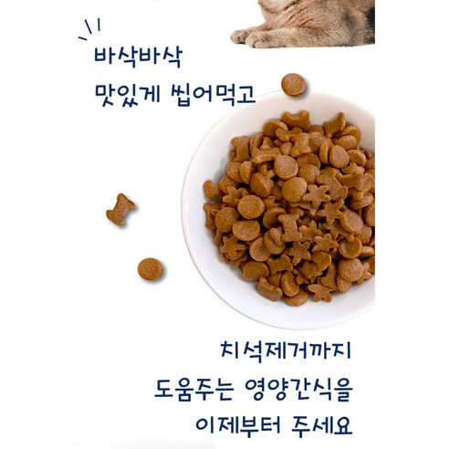 고양이의 건강과 행복을 위한 믿을 수 있는 간식, 캣퓨어 딜리셔스 스낵