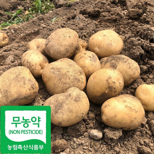 국내산 무농약 햇 수미 감자, 특, 1박스, 5kg(특)