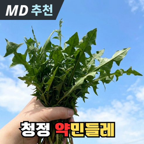 [청정지역]산지정품 건강식재료 민들레나물