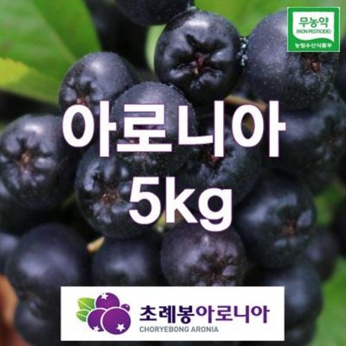 24년유기농 자연초생재배 초례봉아로니아냉동생과열매 상급 5kg (꼭지있는것)/ 농장 직배송, 1개