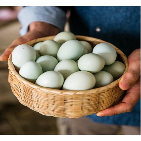 맛있고 건강한 계란, 청년농부가 키운 자연방사 유정란