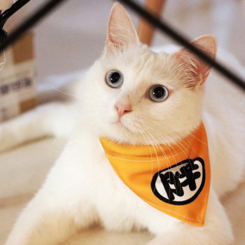 강아지 고양이 삼각스카프 일본어 디자인 튼튼한재질