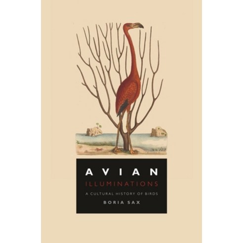 (영문도서) Avian Illuminations: A Cultural History of Birds Hardcover, Reaktion Books, English, 9781789144321