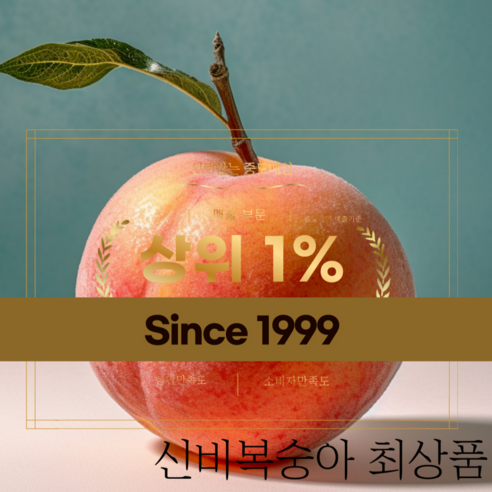양진혁 신비복숭아 산지직송 당일경매 중 최상품 배송, 1개, 1.7kg 12과 130g이상