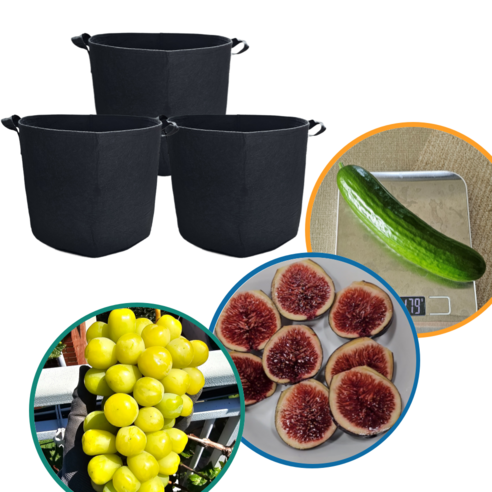 가드닝랩 부직포화분 진공포장 블루베리화분 대형화분