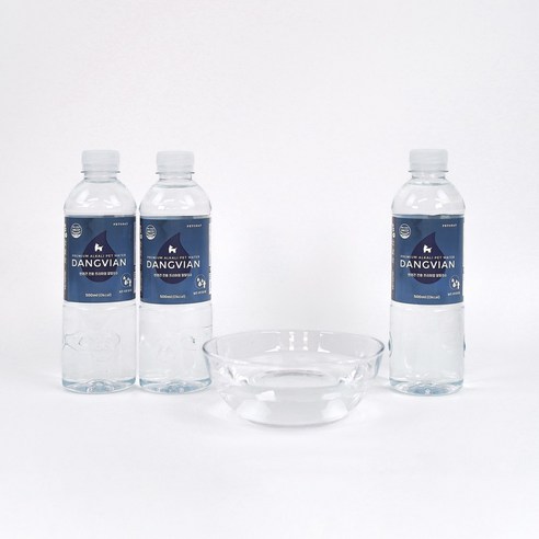 댕비앙으로 반려견의 건강과 행복을 지키세요