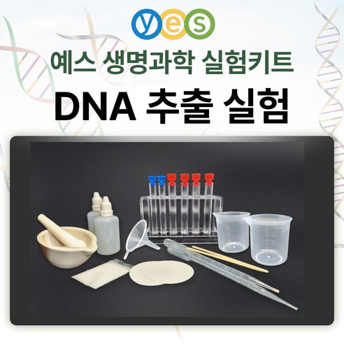 예스 과학교구 생명과학실험 2인세트 DNA추출실험 키트 YES-D1, 기본세트+막자사발+실험대튜브세트, 1개 창의력과학세페이드3f물리 예스 과학교구 생명과학실험 2인세트 DNA추출실험 키트 YES-D1, 기본세트+막자사발+실험대튜브세트, 1개 창의력과학세페이드3f물리