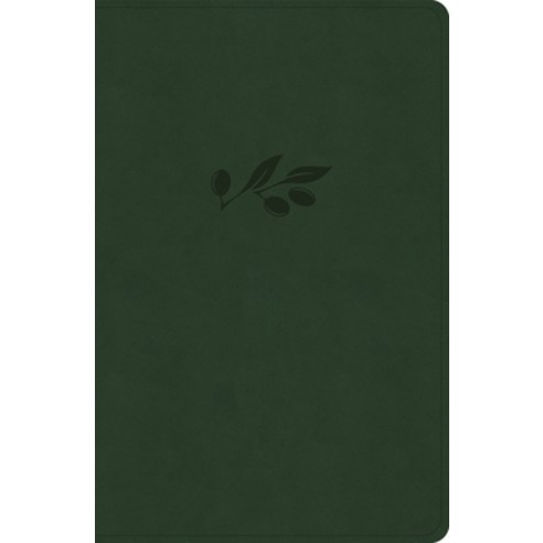 (영문도서) KJV Personal Size Giant Print Bible Olive Leathertouch Imitation Leather, Holman Bibles, English, 9798384525349
