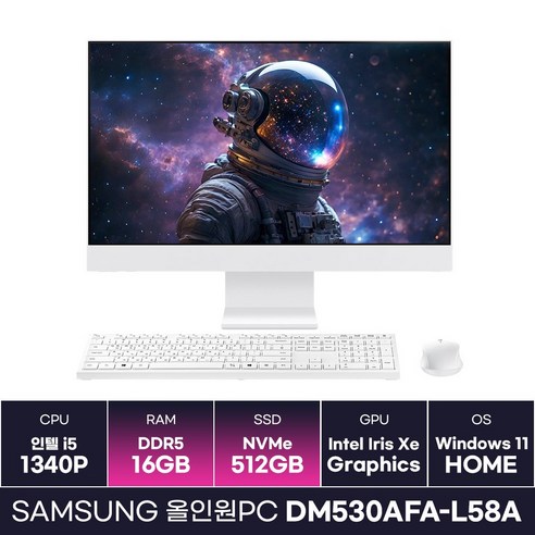 삼성전자 올인원PC DM530AFA-L58A 인텔 i5 13세대 일체형PC 윈도우 탑재 (16GB/512GB) / KCJH