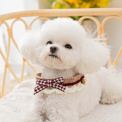 강아지 고양이 뜨개 리본케이프 스카프 반다나, 브라운, 1개 펫색동케이프