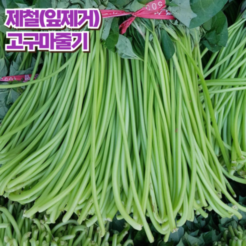 국내산 햇 고구마순 당일채취 고구마줄기 줄거리 2kg 4kg, 국내산 싱싱 고구마순2kg, 1개 고구마순효능