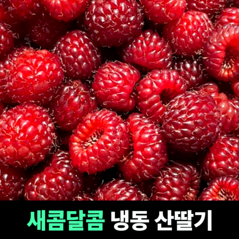 [새콤달콤] 냉동산딸기 생과생딸기 냉동딸기 라즈베리 제철생딸기 급냉딸기 냉동생딸기 생산딸기 상큼한맛, 1개, 2kg