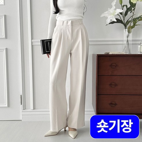 여자 여성 사계절 링클프리 투핀턱 와이드 스판 슬랙스 4컬러 AJL001