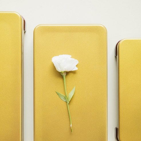 안전하고 우아한 식탁, 쿠플라트와 함께