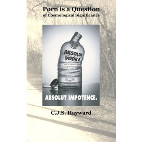 (영문도서) Porn is a Question of Cosmological Significance Hardcover, C.J.S. Hayward Publications, English, 9798869394866