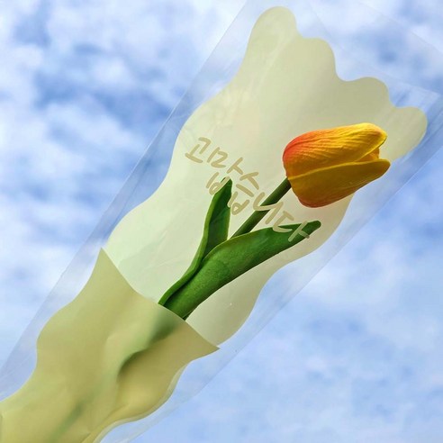 [오케이나우ㅣ강추] 꽃다발에 생명을 불어넣는 우아한 꽃포장지: 고맙습니다 레터링 포장지 [OKNOWㅣ추천상품]