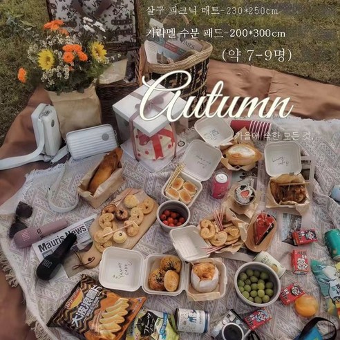 DFMWI.피크닉 매트.Picnic mat.--피크닉 매트 프렌치 인스 에스닉 야외 캠핑 방수 방습 패드에 두꺼운 피크닉 패브릭 포토, 살구230*250Cm+캐러멜방습매트