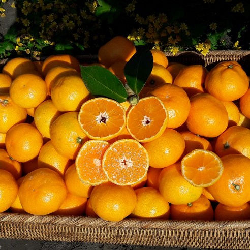 룰루네상점 제주 비가림 감귤 1kg 소포장 하우스귤 고당도 감귤, 소과(2S~S), 1개