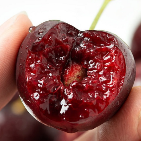 칠레의 햇살을 담은 루비, 항공직송 생 체리의 황홀경 체리