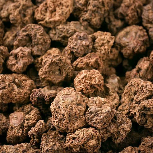 충영 봉래 개다래열매 600g/한방재료/오가피나무/가시오가피/계피환 오가피열매