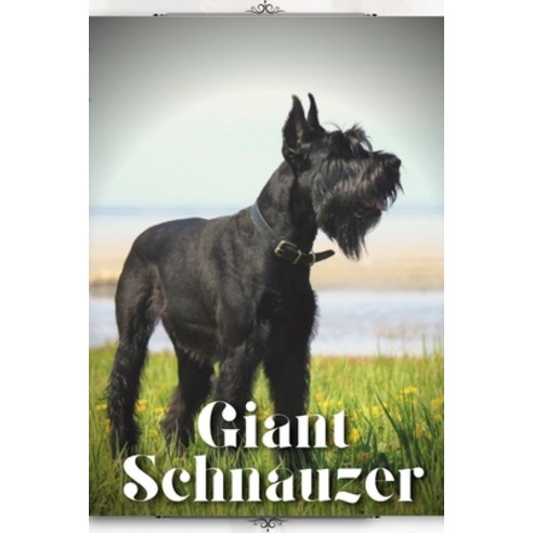 (영문도서) Giant Schnauzer: Dog breed overview and guide Paperback, Independently Published, English, 9798850696658
