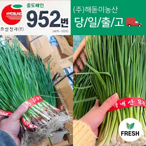 <해돋이농산> 쪽파 깐쪽파 흙쪽파 손질쪽파 1kg(1단) 2kg(2단) 3kg(3단), 3kg(깐3단), 1개”></div>
<p> </p>
<div style='text-align: center;'>
<h1><해돋이농산> 쪽파 깐쪽파 흙쪽파 손질쪽파 1kg(1단) 2kg(2단) 3kg(3단), 3kg(깐3단), 1개</h1>
</div>
<p>미나리1박스 </p>
<h3><해돋이농산> 쪽파 깐쪽파 흙쪽파 손질쪽파: 신선함과 건강의 비결</h3>
<p>건강하고 맛있는 요리에 필수적인 재료인 쪽파는 다양한 요리에 풍미와 영양을 더해줍니다. <해돋이농산>은 엄선된 재료와 뛰어난 품질 관리를 통해 최상의 쪽파를 제공하여 요리에 생기를 불어넣습니다.</p>
<h4>쪽파의 다양한 종류</h4>
<p><해돋이농산>에서는 다양한 종류의 쪽파를 제공하여 다양한 요리에 맞게 선택할 수 있도록 합니다.</p>
<ul>
<li><strong>쪽파:</strong> 흰 부분이 길고 녹색 잎이 짧은 일반적인 쪽파로, 생으로 먹거나 요리에 사용할 수 있습니다.</li>
<li><strong>깐쪽파:</strong> 뿌리가 잘린 쪽파로, 주로 스프나 스튜와 같은 요리에 사용됩니다.</li>
<li><strong>흙쪽파:</strong> 뿌리가 흙에 묻혀 있는 쪽파로, 신선한 맛과 질감을 제공합니다.</li>
<li><strong>손질쪽파:</strong> 뿌리와 녹색 잎이 잘린 쪽파로, 샐러드나 가니시로 사용하기에 편리합니다.</li>
</ul>
<h4>품질에 대한 약속</h4>
<p><해돋이농산>은 농장에서부터 식탁까지 모든 단계에서 품질을 최우선으로 합니다. 엄선된 씨앗과 비옥한 토양을 사용하여 건강하고 맛있는 쪽파를 재배합니다. 숙련된 농부들이 쪽파를 꼼꼼하게 관리하고 수확하여 신선함과 영양가를 보존합니다.</p>
<h4>영양가 풍부한 재료</h4>
<p>쪽파는 비타민 C, K, A를 비롯한 필수 영양소가 풍부합니다. 또한 항산화제가 풍부하여 신체를 자유 라디칼로부터 보호하는 데 도움이 됩니다. 쪽파를 식단에 추가하면 전반적인 건강과 웰빙을 향상시킬 수 있습니다.</p>
<h4>다양한 요리에 사용</h4>
<p>쪽파는 다양한 요리에 풍미와 영양을 더하는 다재다능한 재료입니다. 생으로 샐러드나 샌드위치에 넣거나 요리, 스튜, 수프에 넣어 맛을 내는 데 사용할 수 있습니다. 쪽파는 또한 가니시로 사용하여 요리에 신선함과 색감을 더하는 데도 좋습니다.</p>
<h4>손쉬운 주문 및 배송</h4>
<p><해돋이농산>의 쪽파는 온라인이나 지역 슈퍼마켓에서 편리하게 주문할 수 있습니다. 신선하고 품질이 우수한 쪽파를 신속하게 배송하여 집에서 편안하게 요리에 사용할 수 있습니다.</p>
<h3></h3>
<p><해돋이농산>의 쪽파는 신선함, 품질, 영양가를 중시하는 사람들에게 완벽한 선택입니다. 다양한 종류의 쪽파와 뛰어난 품질 관리를 통해 요리에 생기를 불어넣고 전반적인 건강을 향상시킬 수 있습니다. 오늘 바로 <해돋이농산>의 쪽파를 주문하여 건강하고 맛있는 요리를 즐기세요.</p>
<p> </p>
<div class=