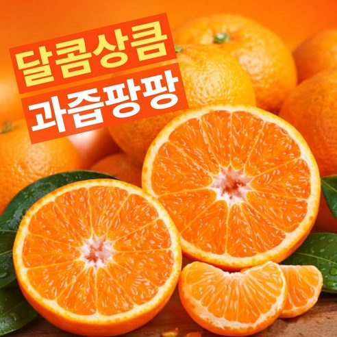 [타임특가] 고당도 캘리포니아 감귤 만다린, 1박스, 5kg