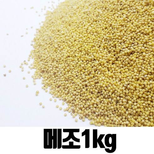밥보야 수입 메조 좁쌀 1kg, 1kg, 1개 - 조 | 쿠팡