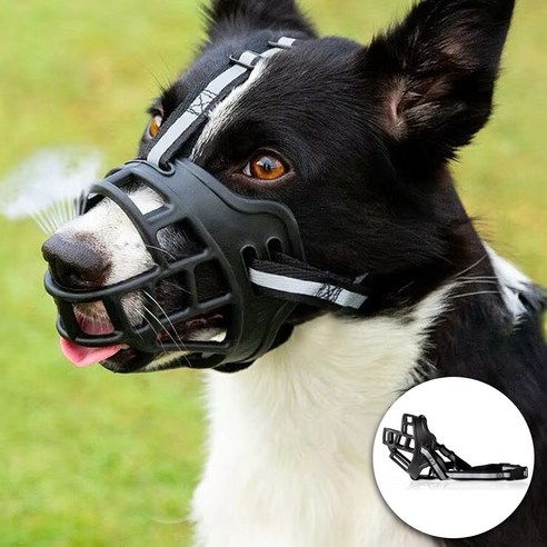인텔리펫 맹견입마개, 안전과 편안함을 위한 최선의 선택 강아지입마개