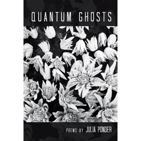 (영문도서) Quantum Ghosts Paperback, Finishing Line Press, English, 9798888383445
