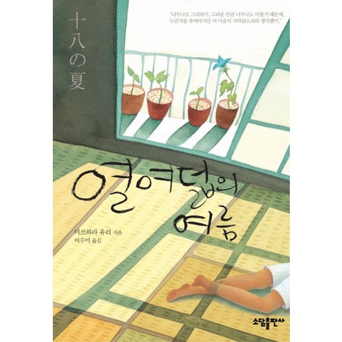 열여덟의 여름, 소담출판사