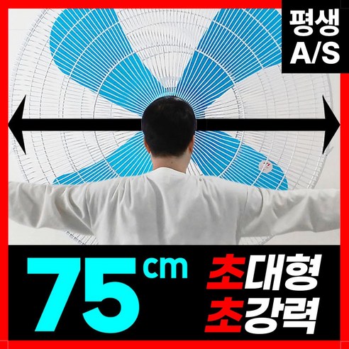 테르톤 공업용 대형 선풍기 사무실선풍기 초강력 바람 대형팬, 02. TF-0303(30인치/75CM)