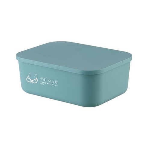 가정용 비닐 속옷 팬티 수납함 벨트 덮개 방진 옷장 칸막이 정리함 양말 수납함, 용담록 - 스페이스 바 속옷 수납함