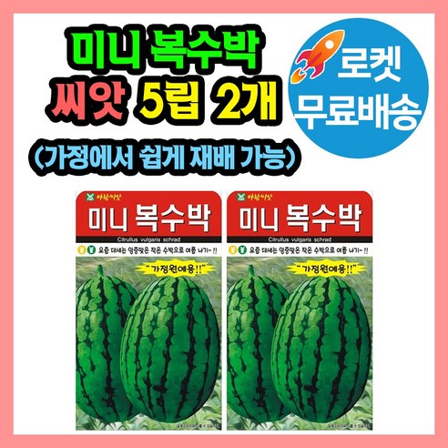 미니 복수박 씨앗 (합 10립) 수박씨 미니수박 수박씨앗, 2개