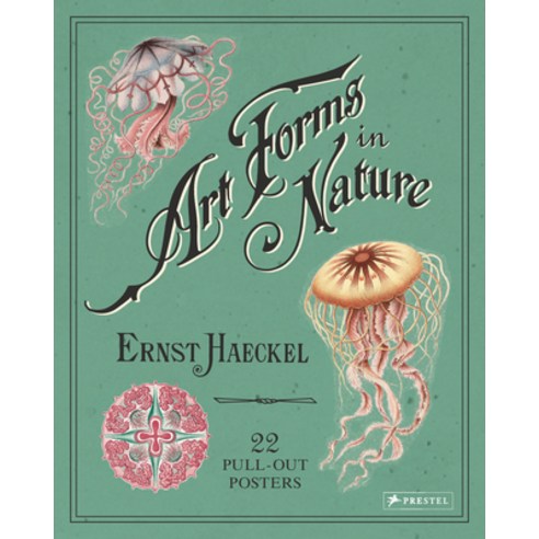(영문도서) Art Forms in Nature: 22 Pull-Out Posters Paperback, Prestel Publishing, English, 9783791382630