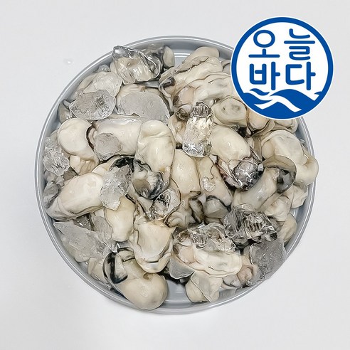 24년 100% 통영산 최상급 냉동굴 산지직송 (2개 이상 구매시 냉동 깐멍게 250g 증정), 1개, 냉동 굴 1kg