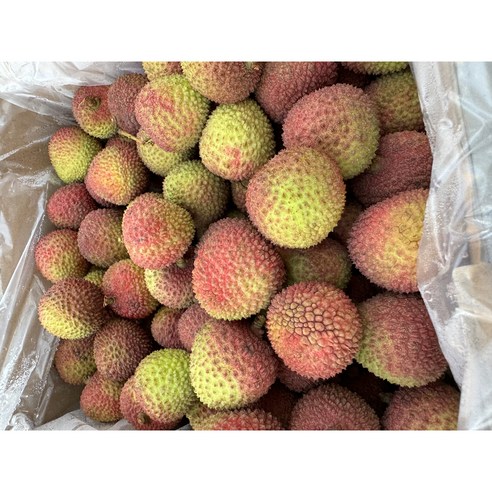 생과일 항공직송 고당도 생 리치 열대과일, 1개, 4kg