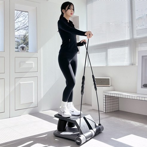 집에서 간편하고 효과적인 전신 운동: 잇지바디 노르딕 에어스텝퍼 2