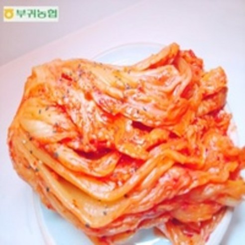 한국농협김치 부귀농협 마이산김치 묵은지 3kg 5kg 10kg [명품김치] 국내산100%재료