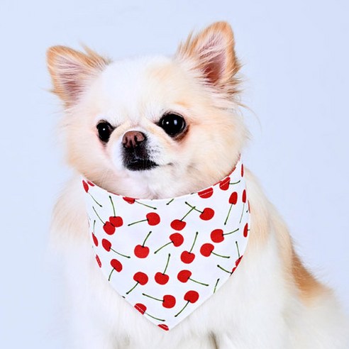 아이즈펫 강아지 고양이 코튼 양면스카프 케이프 애견용품 턱받이, 1개, 레드체리