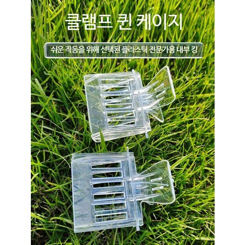 여왕벌 포획기 채집 말벌 꿀벌 양봉 도구, 단일사이즈, B_【10개입】