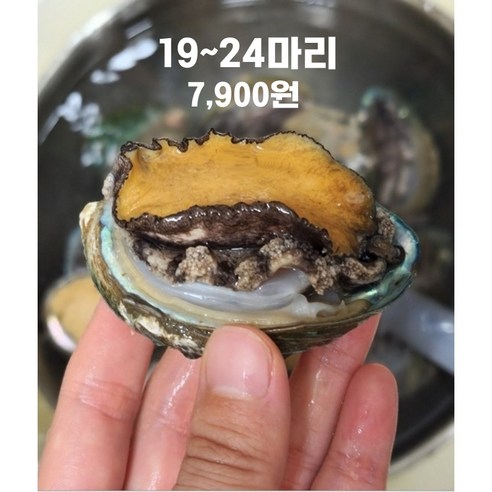 완도 산더미 활전복(산소팩포장), 1개, 산더미전복500g(19~24마리)