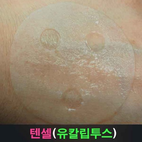 국산 안전한 유칼립투스 순면 마스크팩