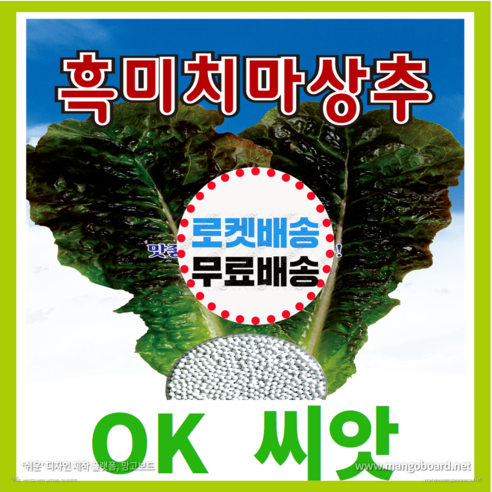 [OK씨앗] [흑미치마상추(봄 여름 가을)] 상추씨앗 종자(오케이씨앗), 3000립