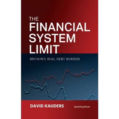 (영문도서) The Financial System Limit: Britain's real debt burden Paperback, Sparkling Books Limited, English, 9781907230264