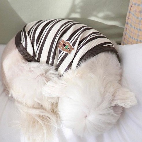 [퐁펫] 곰돌이패치라인 티셔츠 (Pet733)_(강아지옷 고양이옷 반려동물 애견 애묘 뚱냥이 코스튬 봄 여름 가을), 브라운, 1개