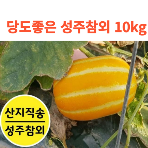 산지직송!!당일수확!! 가정용 성주참외! 5+5kg (총10kg) 기스흠과 혼합과 당도좋은 참외, 20kg