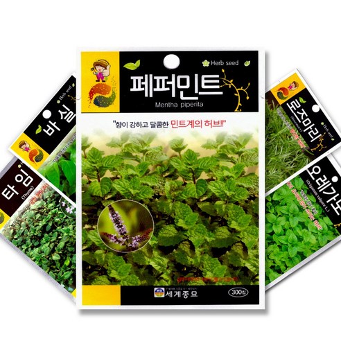 자연의 아름다움을 담은 꽃 씨앗: 다년생 야생화 종자 컬렉션