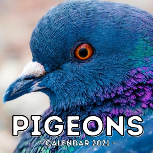 Pigeons Calendar 2021: 16-Month Calendar Cute Gift Idea For Pigeon Lovers Women & Men Paperback, Independently Published, English, 9798745804984